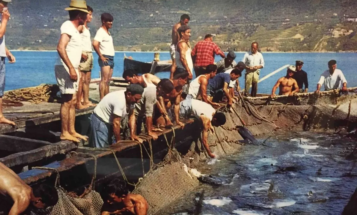 Vibonesi “cardijàri” e pizzitani “mangiagàrgi”, la rivalità a colpi di nomignoli