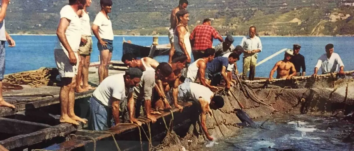 Vibonesi “cardijàri” e pizzitani “mangiagàrgi”, la rivalità a colpi di nomignoli