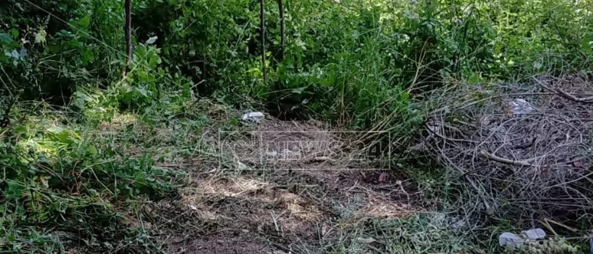 Dramma nel Vibonese, a Cessaniti uomo precipita in un burrone e muore