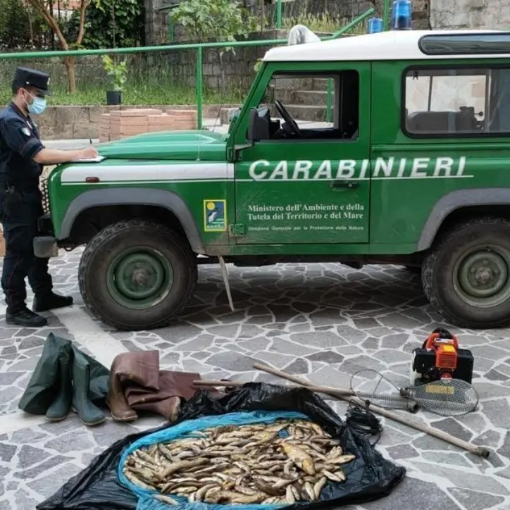 Catturano 295 trote con scosse elettriche: tre denunce a Cotronei