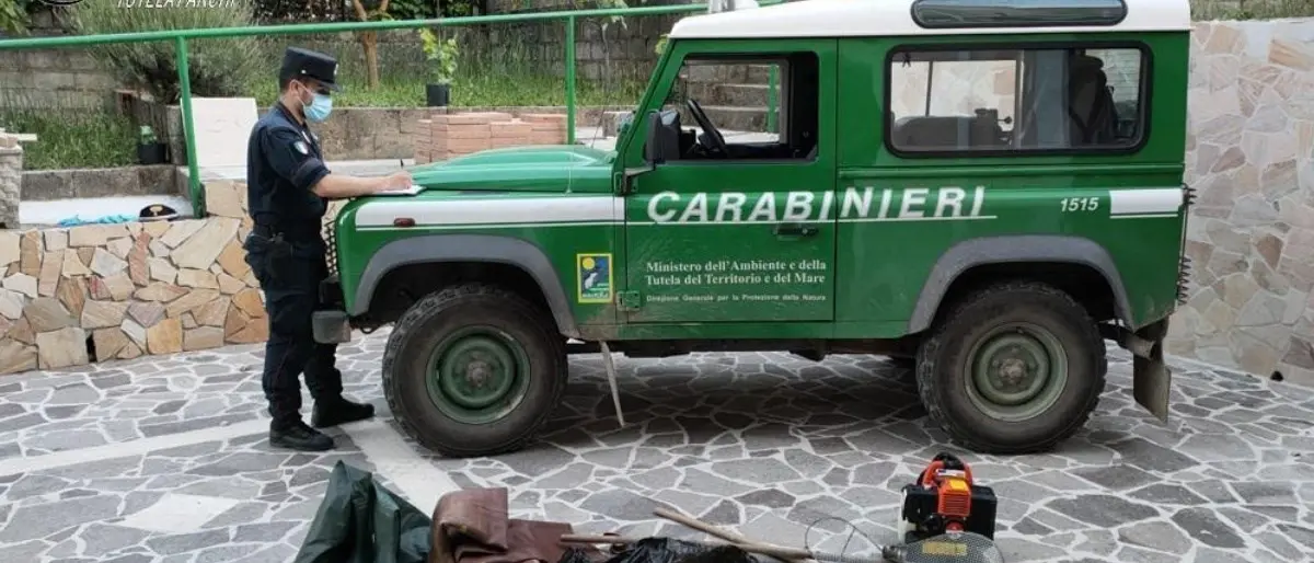 Catturano 295 trote con scosse elettriche: tre denunce a Cotronei