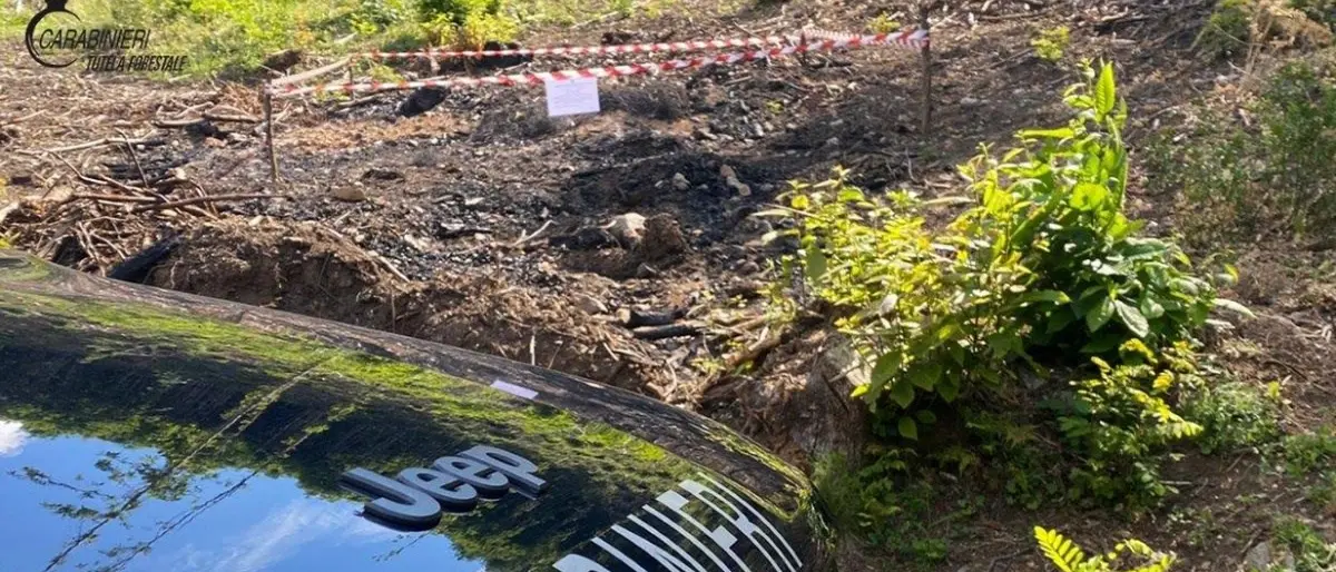 Montalto Uffugo, brucia vecchi pneumatici: denunciato manovale boscaiolo