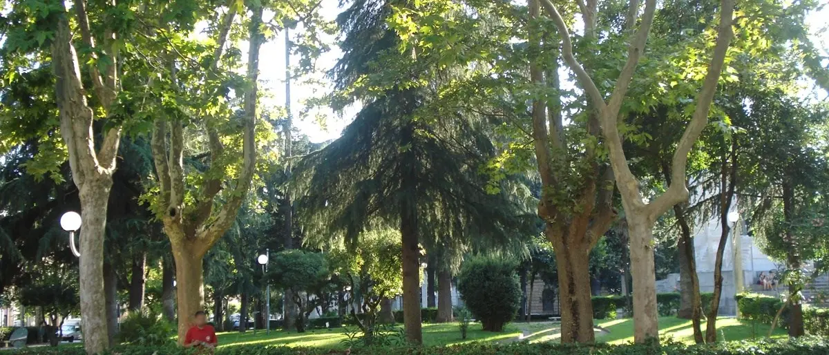 Cosenza, comitato di quartiere denuncia il degrado a Villa nuova