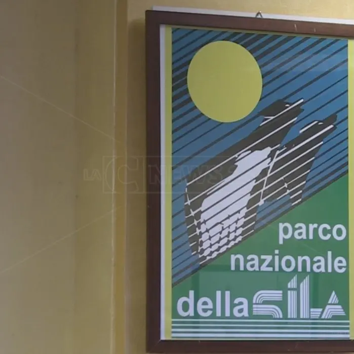 Parco della Sila, i pastori diventano sentinelle antincendio dell'area protetta