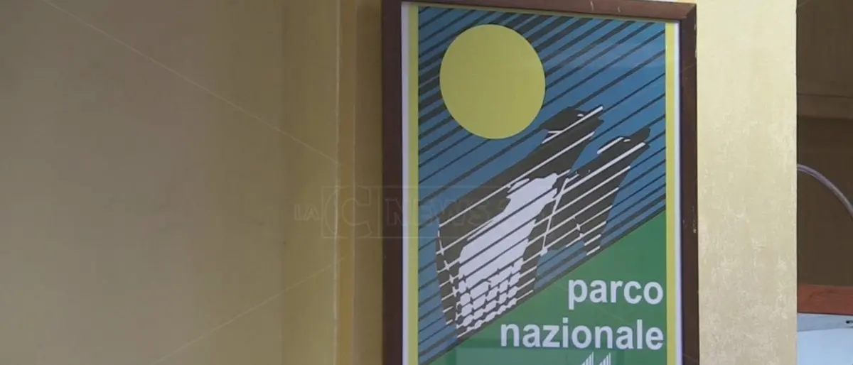 Parco della Sila, i pastori diventano sentinelle antincendio dell'area protetta