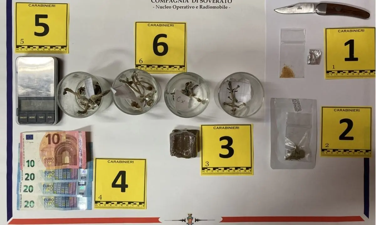 In casa funghi allucinogeni e droghe psichedeliche: arrestato 34enne nel Catanzarese