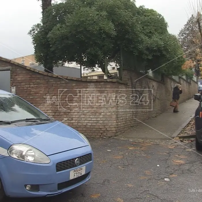 Corigliano-Rossano, duplice operazione antidroga di polizia e carabinieri: due arresti