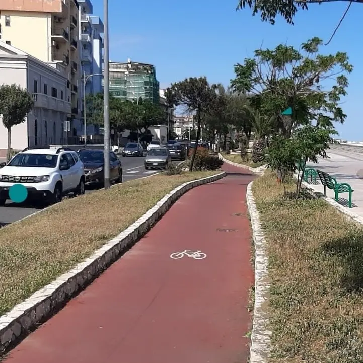 Catanzaro: l'irrigazione del verde pubblico è un miraggio, la questione finisce anche in Consiglio