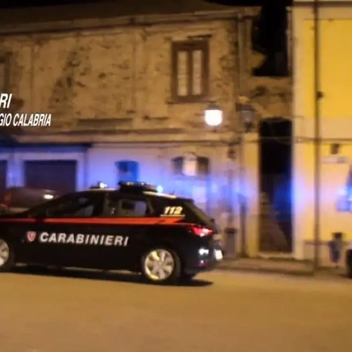 Rosarno, mancata sicurezza sul lavoro e reati amministrativi: denunce e sanzioni per 2 aziende