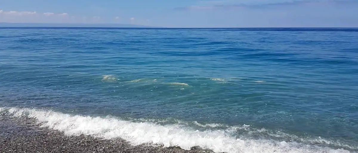 Mare sporco, a Falerna prime segnalazioni ma l'Arpacal rassicura: «Nessuna criticità»