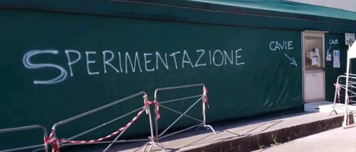 «Siete cavie», i No vax imbrattano di scritte e slogan il centro vaccinale di Paola