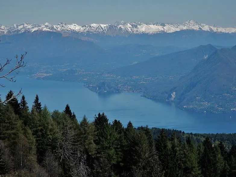 Il video della funivia Stresa che abbiamo visto tutti forse potrà salvare qualcuno