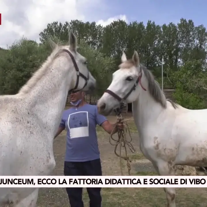 Fattoria didattica Junceum, a Vibo Valentia un esempio virtuoso di agricoltura sociale
