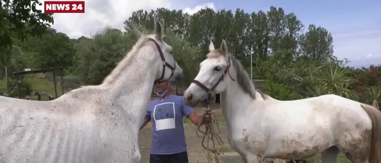 Fattoria didattica Junceum, a Vibo Valentia un esempio virtuoso di agricoltura sociale