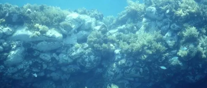 I segreti del porto millenario di Bivona: da Ulisse al legno per San Pietro