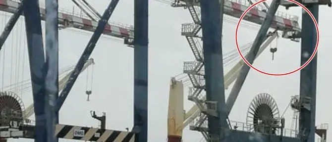 Porto di Gioia Tauro, scontro tra due gru. Bloccato il traffico delle navi