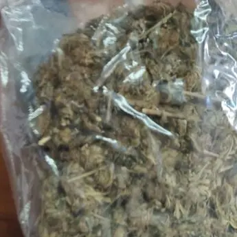 Crotone, beccato in giro con mezzo chilo di marijuana: arrestato