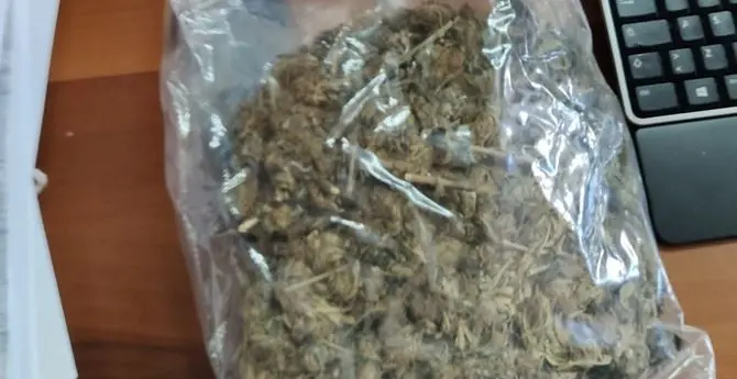 Crotone, beccato in giro con mezzo chilo di marijuana: arrestato