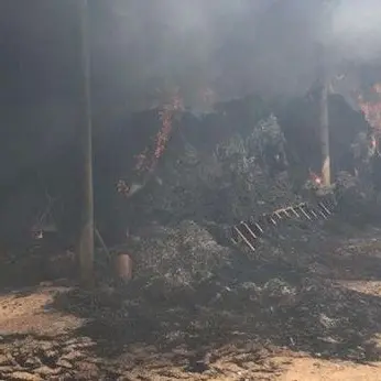 Incendio in una stalla a Limbadi, animali messi in salvo dai Vigili del fuoco
