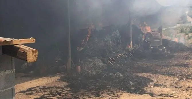 Incendio in una stalla a Limbadi, animali messi in salvo dai Vigili del fuoco