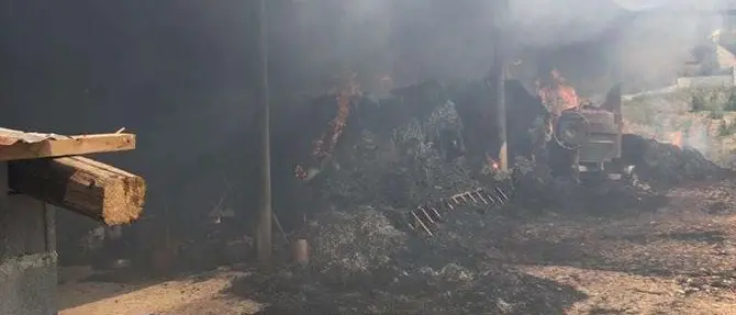 Incendio in una stalla a Limbadi, animali messi in salvo dai Vigili del fuoco
