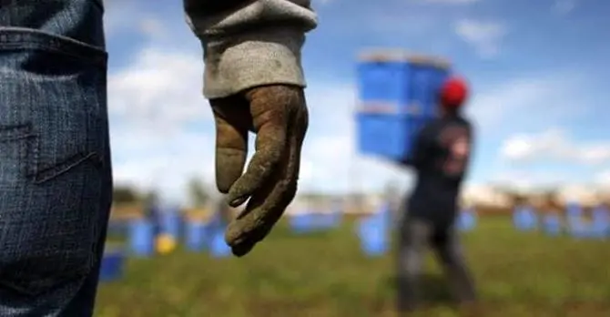 Decreto Rilancio, Lamorgese: «Regolarizziamo circa 200mila immigrati»