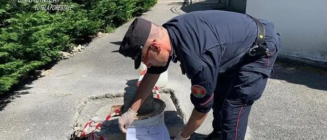 San Nicola Arcella, sequestrato uno scarico del depuratore comunale