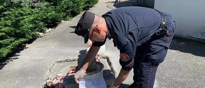 Gli scarichi abusivi che minacciano la bandiera blu di San Nicola Arcella