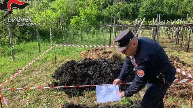 Rifiuti pericolosi abbandonati nelle campagne del Cosentino, denunce e sequestri