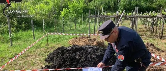 Rifiuti pericolosi abbandonati nelle campagne del Cosentino, denunce e sequestri