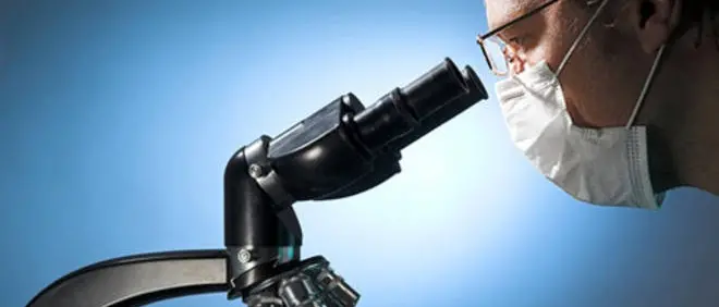 Notte dei ricercatori, progetto Unical premiato dalla Commissione europea