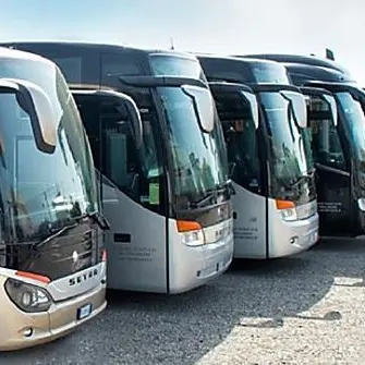 Trasporti in crisi, gli imprenditori: «Da mesi bus fermi, zero incassi e nessun aiuto»