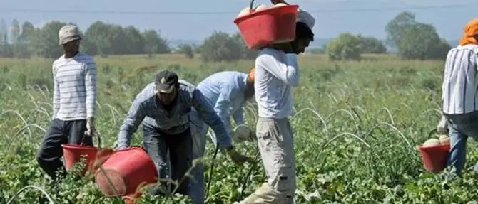 Invisibili al Governo, il dramma dei migranti esclusi dalla regolarizzazione
