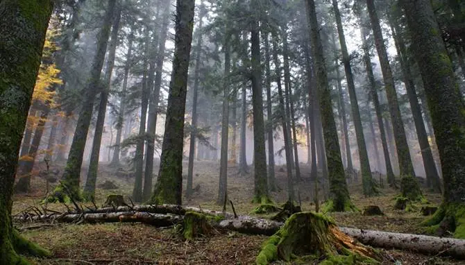 Sarà la montagna a salvare la Calabria ma servono servizi efficienti