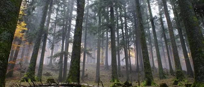 Sarà la montagna a salvare la Calabria ma servono servizi efficienti