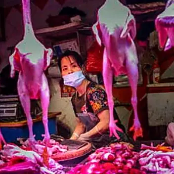 Dopo il coronavirus, la città di Wuhan vieta la carne selvaggina per 5 anni