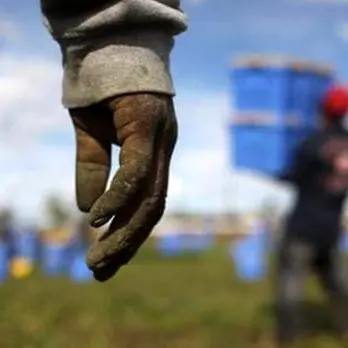 Caporalato, la netta condanna dei vescovi calabresi: «È adorazione del male»