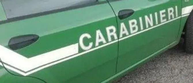 Cirò, sequestrata una cava abusiva per l'estrazione di materiale lapideo