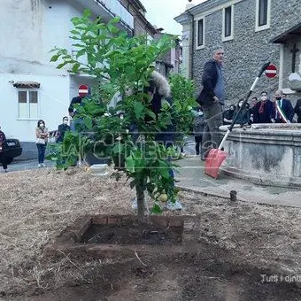 Lamezia, 29 anni fa l'omicidio dei due netturbini: piantati alberi in loro memoria