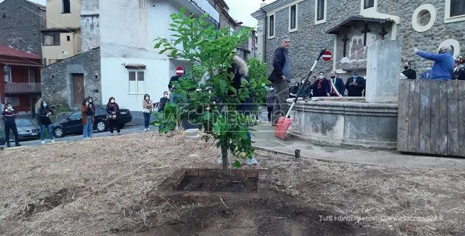 Lamezia, 29 anni fa l'omicidio dei due netturbini: piantati alberi in loro memoria