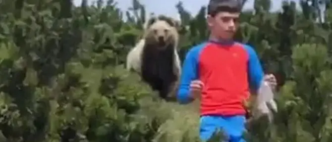 All’improvviso un orso, ma il bimbo mantiene la calma e si allontana: il video