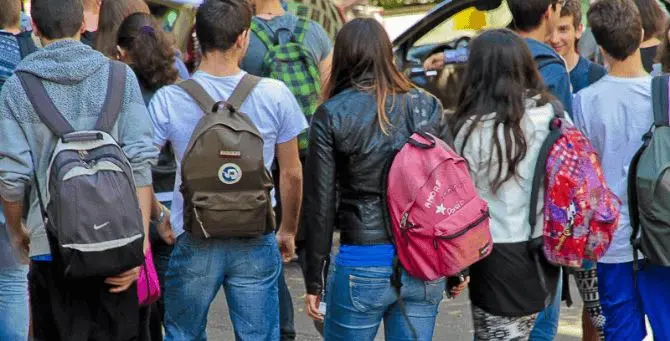 Scuola a distanza, protestano gli studenti cosentini: «Ma quale successo?»