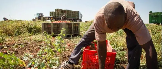 Caporalato in Calabria, braccianti sospesi tra paura dei contagi e la denuncia