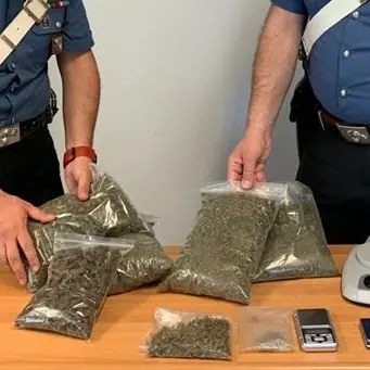 Cetraro, sorpresi in casa con oltre 800 grammi di marijuana: due arresti