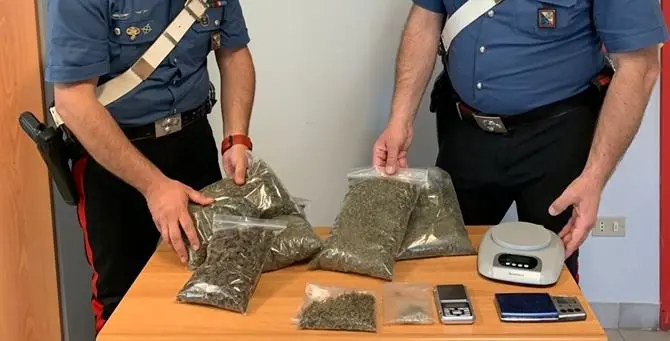 Cetraro, sorpresi in casa con oltre 800 grammi di marijuana: due arresti