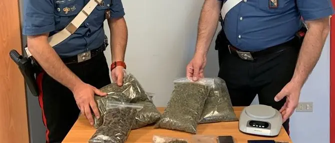 Cetraro, sorpresi in casa con oltre 800 grammi di marijuana: due arresti