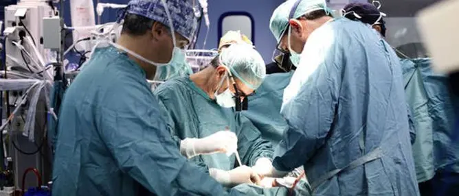 Coronavirus, 18enne salvato con trapianto di polmoni: è il primo in Europa