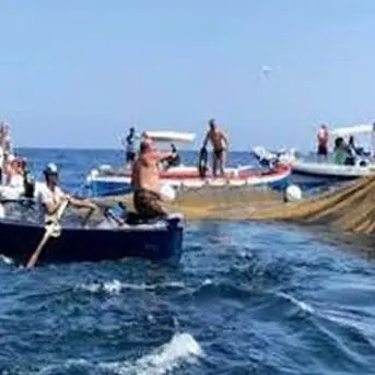 Pesca tonno rosso, cresce la quota riservata ai pescatori calabresi