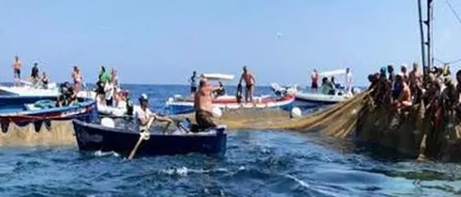 Pesca tonno rosso, cresce la quota riservata ai pescatori calabresi
