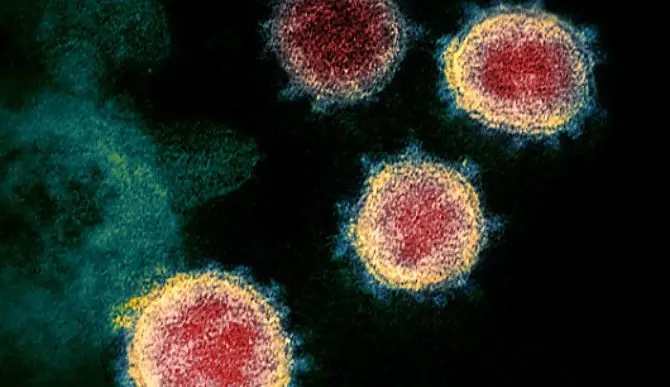 Coronavirus, Zangrillo (San Raffaele): «Clinicamente non esiste più»